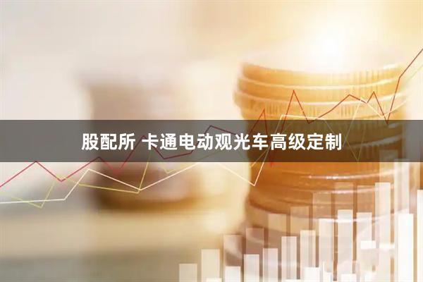 股配所 卡通电动观光车高级定制