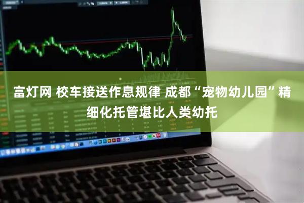 富灯网 校车接送作息规律 成都“宠物幼儿园”精细化托管堪比人类幼托