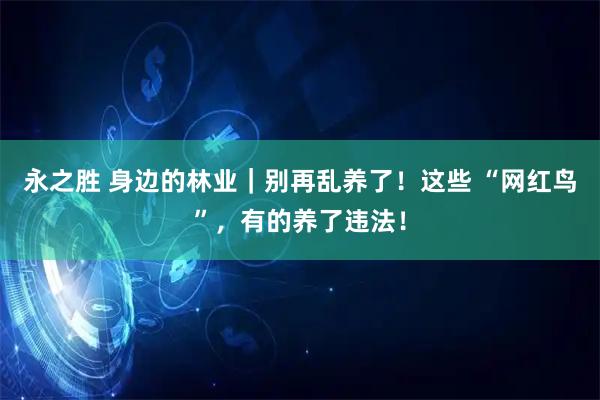 永之胜 身边的林业｜别再乱养了！这些 “网红鸟”，有的养了违法！